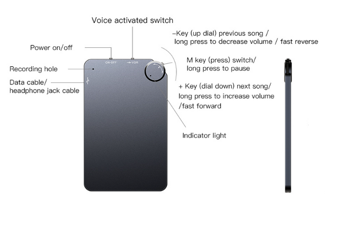 Mini Voice-activated Recorder - EchoNote-8GB-The Livary