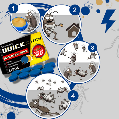 Effective Non Toxic Roach Traps